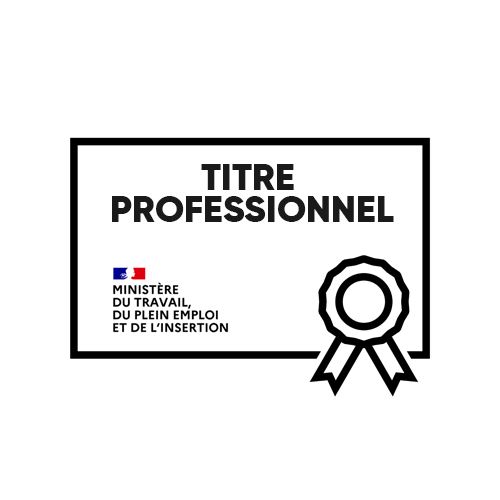 TITRE-PROFESSIONNEL.png